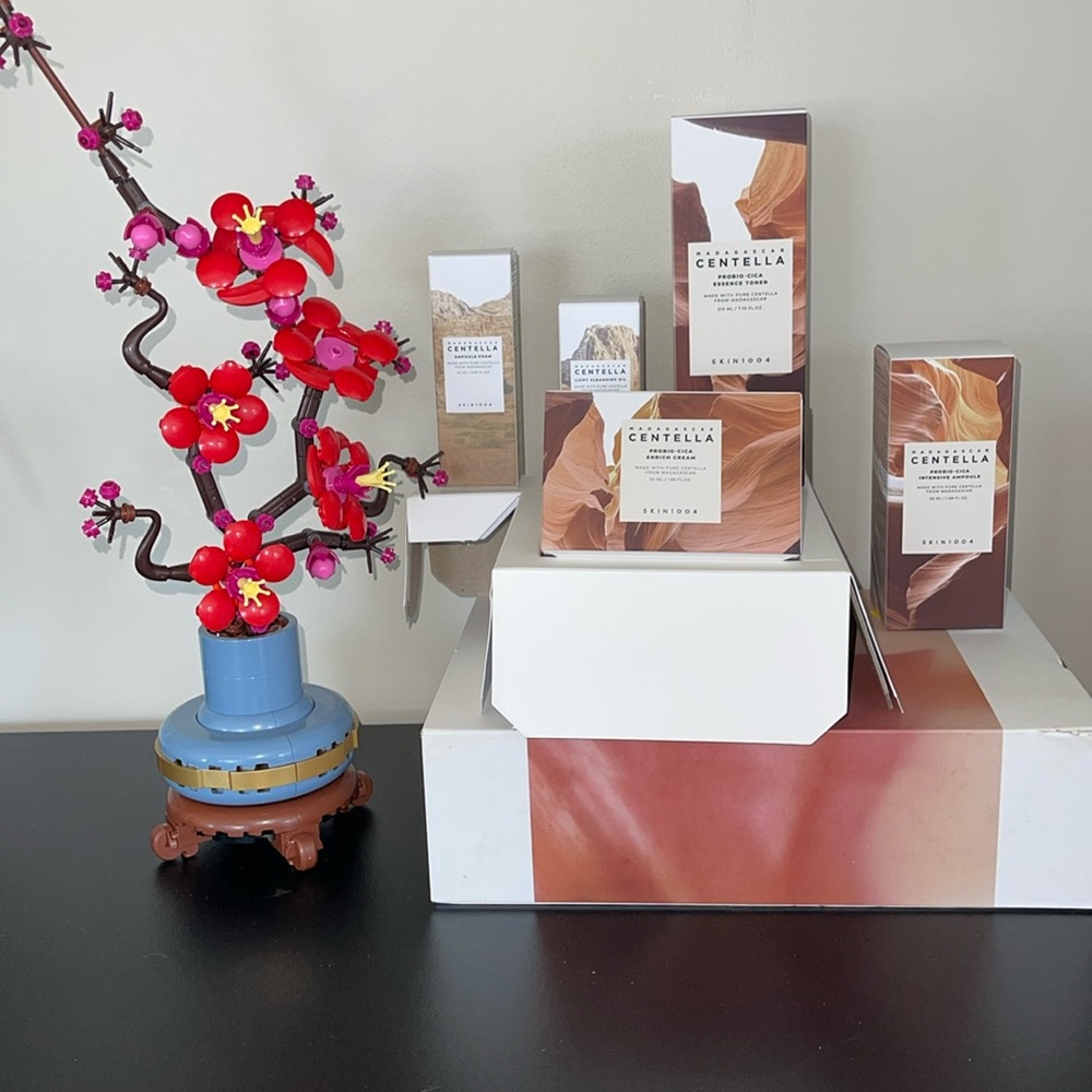 SKIN1004 Madagascar Centella Skincare Set